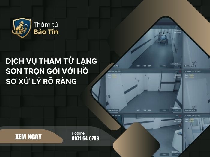 dịch vụ thám tử Lạng Sơn