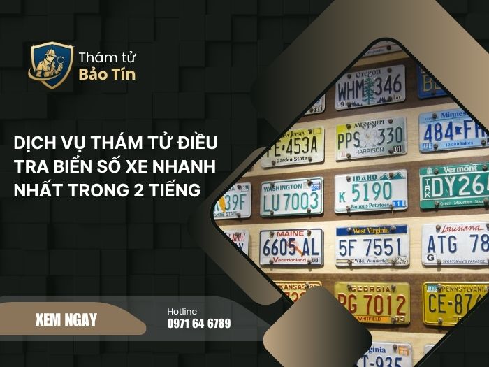thám tử điều tra biển số xe