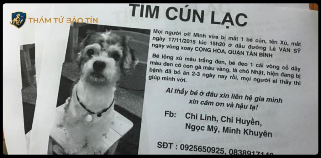 dịch vụ thám tử tìm thú cưng