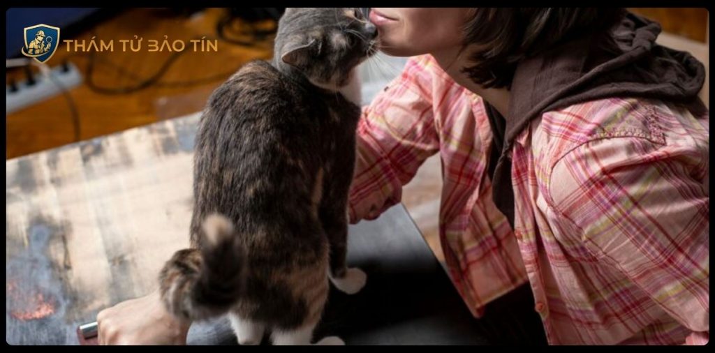 dịch vụ thám tử tìm thú cưng